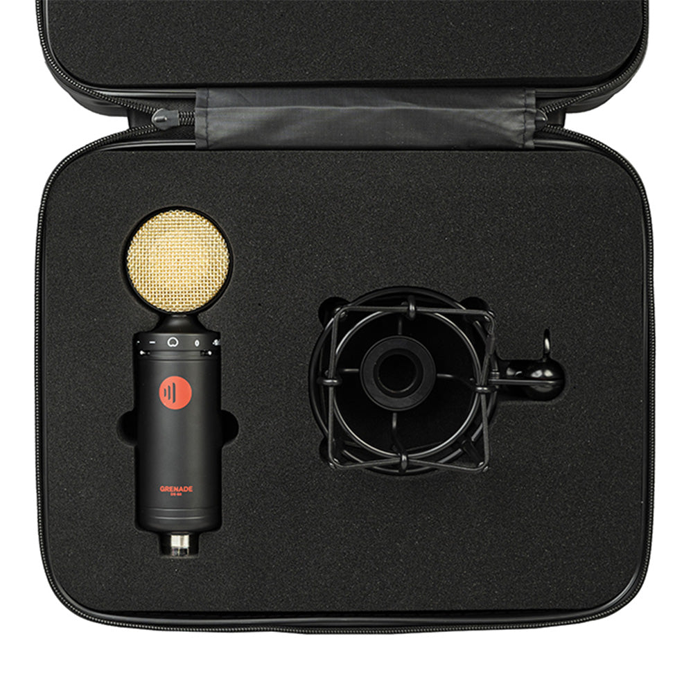 Direct Sound DS-60 - Large Diaphragm Condenser Microphone