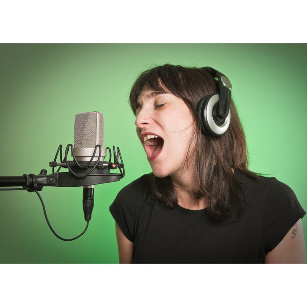 Rycote 75020 Invision Studio Usm Universal Large Diaphragm Microphone Shock Mount