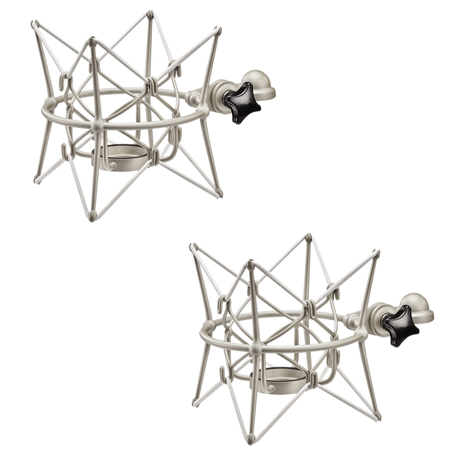 Neumann TLM 170 R Factory Matched Stereo Pair Condenser Microphones