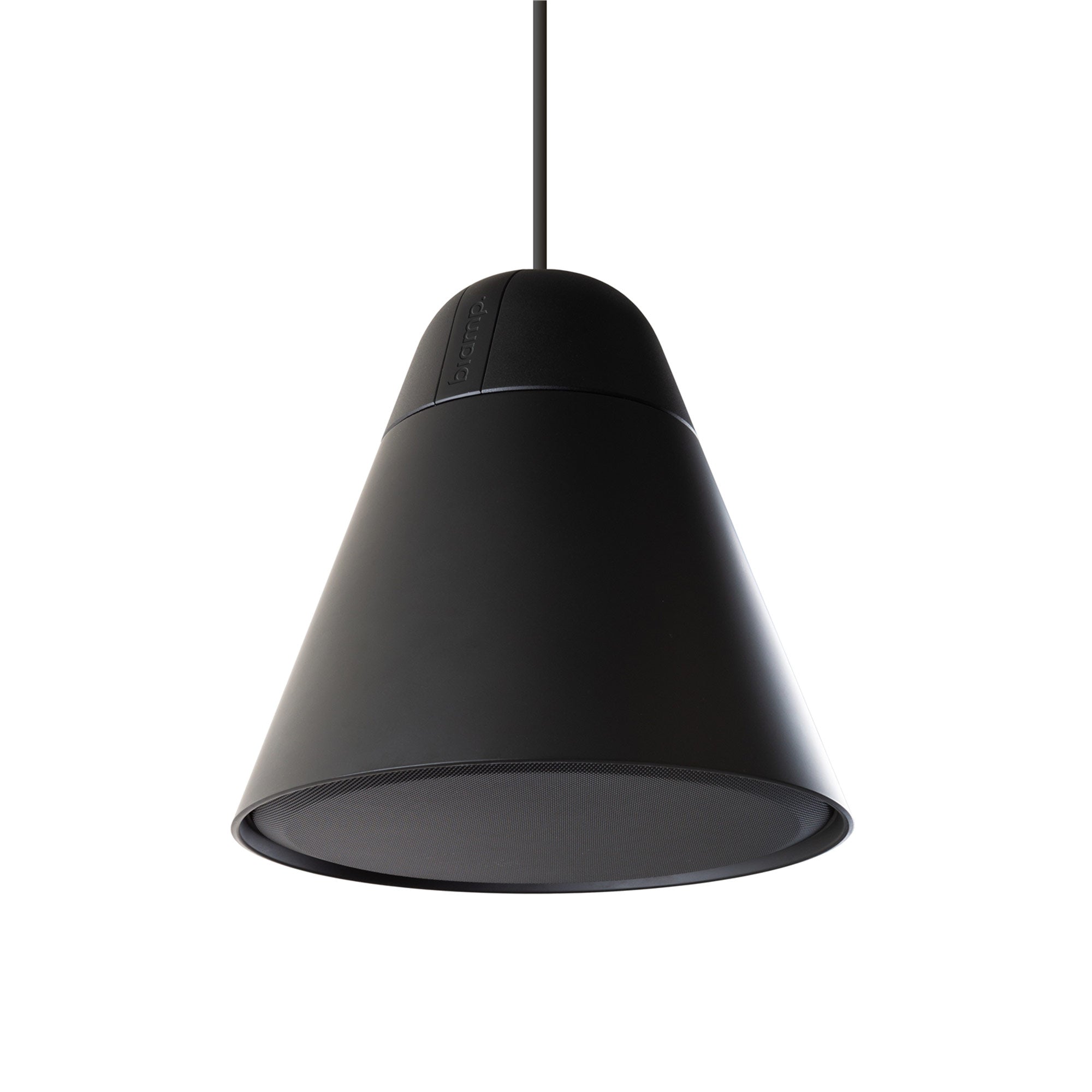 Biamp Desono P30DT - Two-Way 4.25-Inch Pendant Loudspeaker (Black)