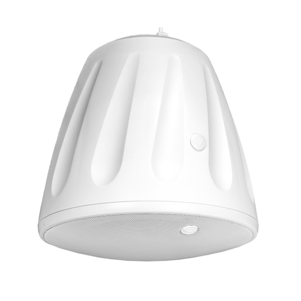 Soundtube RS1201i-WH - 12-Inch Open-Ceiling Hanging Subwoofer (White)