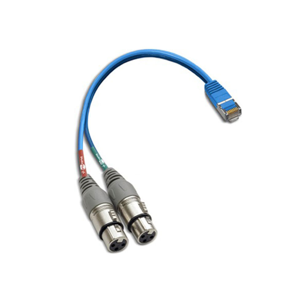 StudioHub ADAPTM-XLRFD - RJ45 to Dual XLR Female Adaptor Cable (6 Inch)