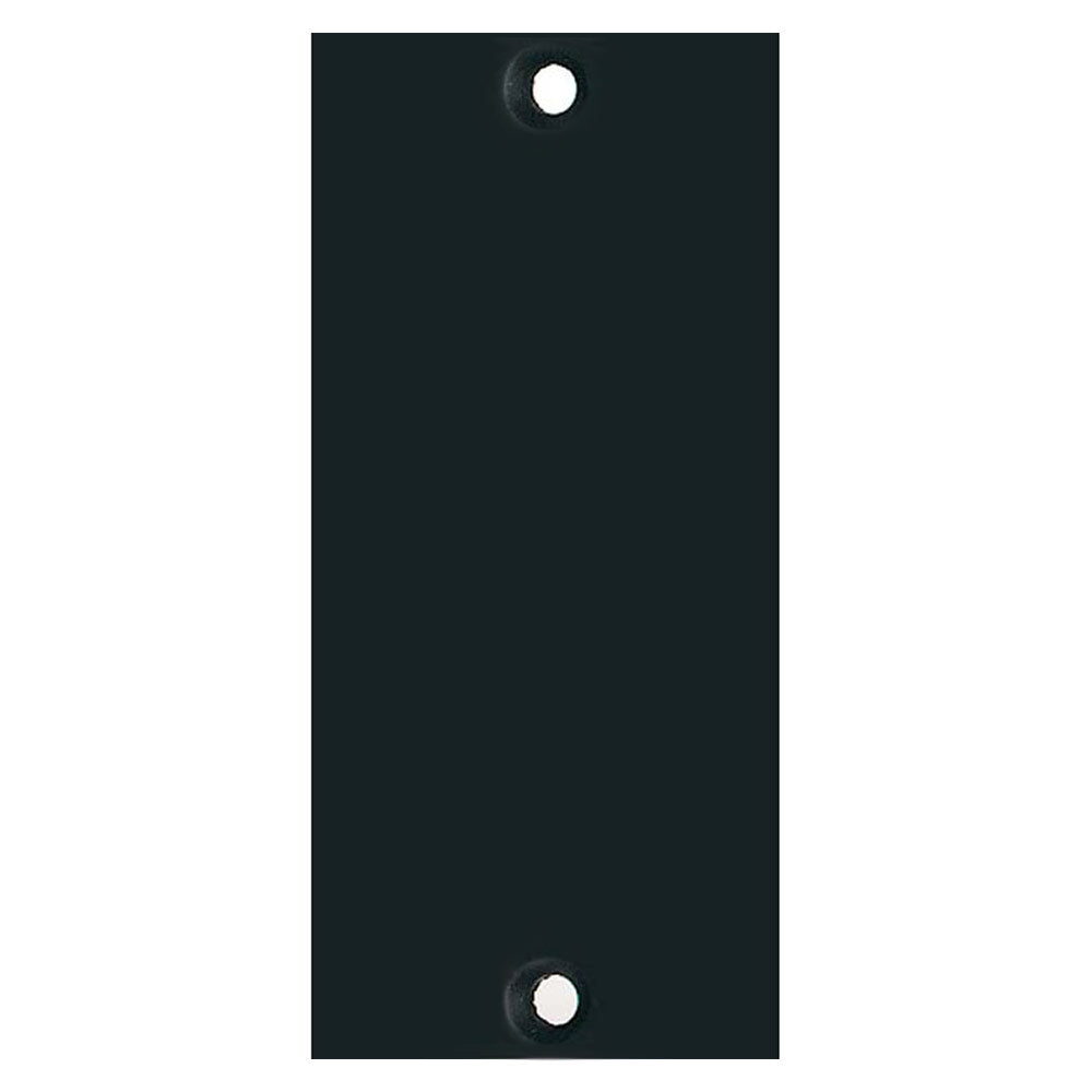 API 2B1 200 Series Blank Panel - One Slot