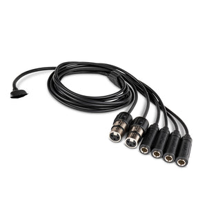 Apogee Replacement Breakout Cable for Duet 3