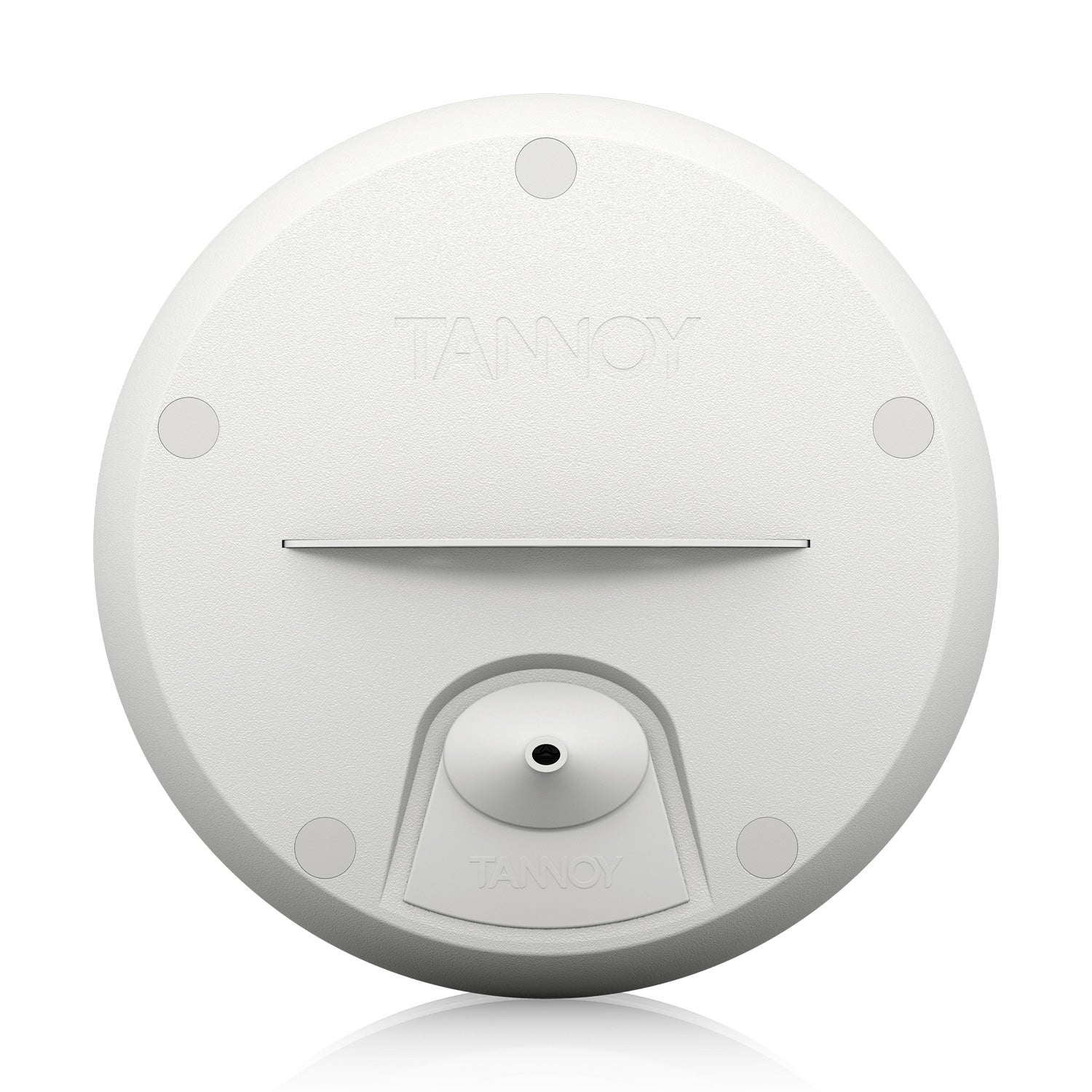 Tannoy OCV 6 - Two-Way 6-Inch Coaxial Pendant Loudspeaker (White)