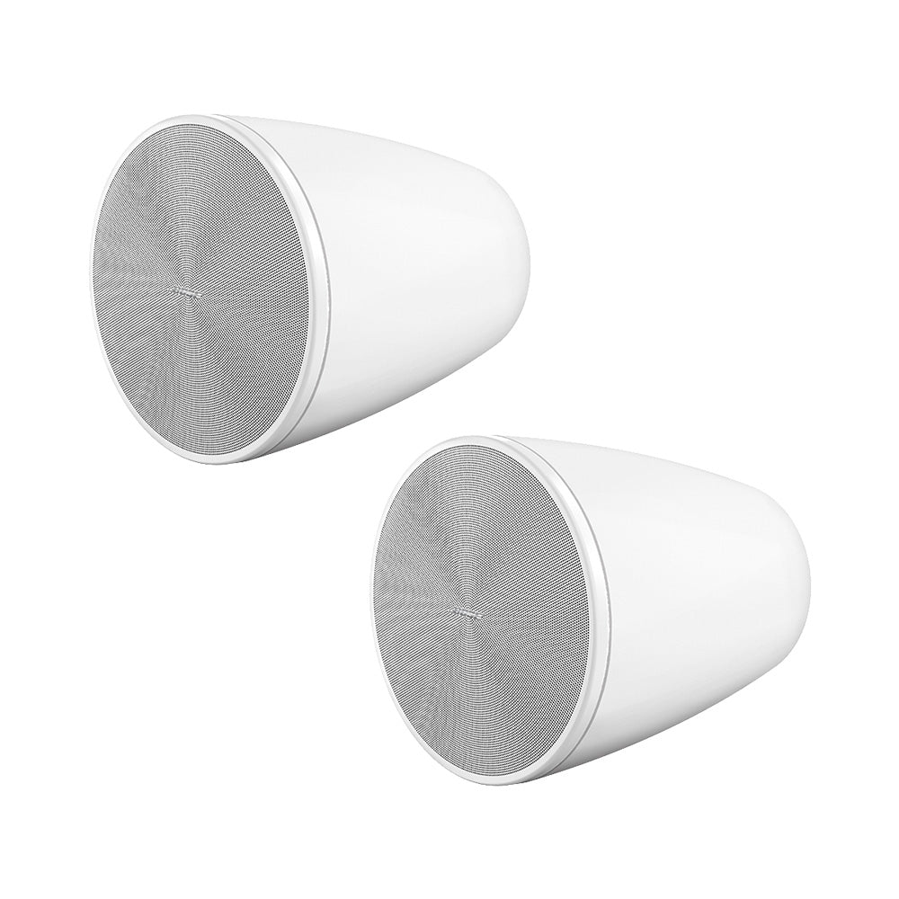 Bose DesignMax DM6PE - Two-Way 6-Inch Pendant Loudspeaker (White)