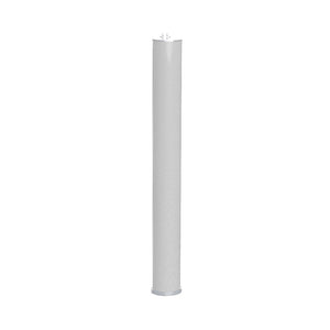 Biamp Desono ENT-FR - Column Line Source Loudspeaker (White)
