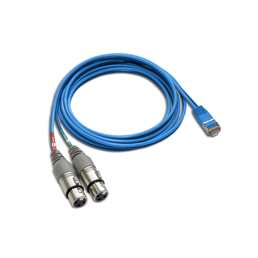 StudioHub CABLE-XLRFD - RJ45 to Dual XLR Female Adaptor Cable (6 Foot)