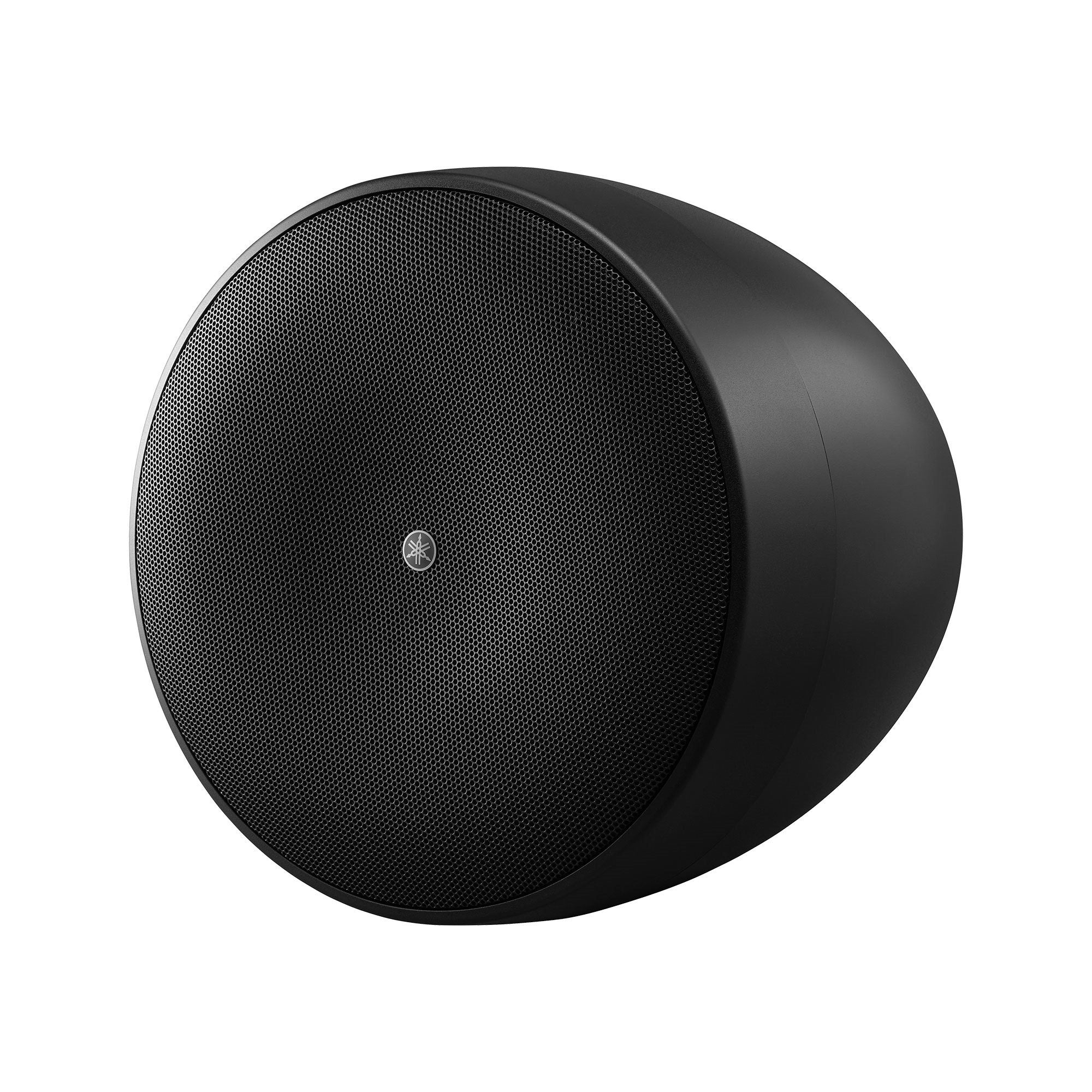 Yamaha VXH6 - Two-Way 6.5-Inch Pendant Loudspeaker (Black)