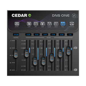 CEDAR Audio DNS One - Noise Reduction Plugin (VST/AU/AAX)