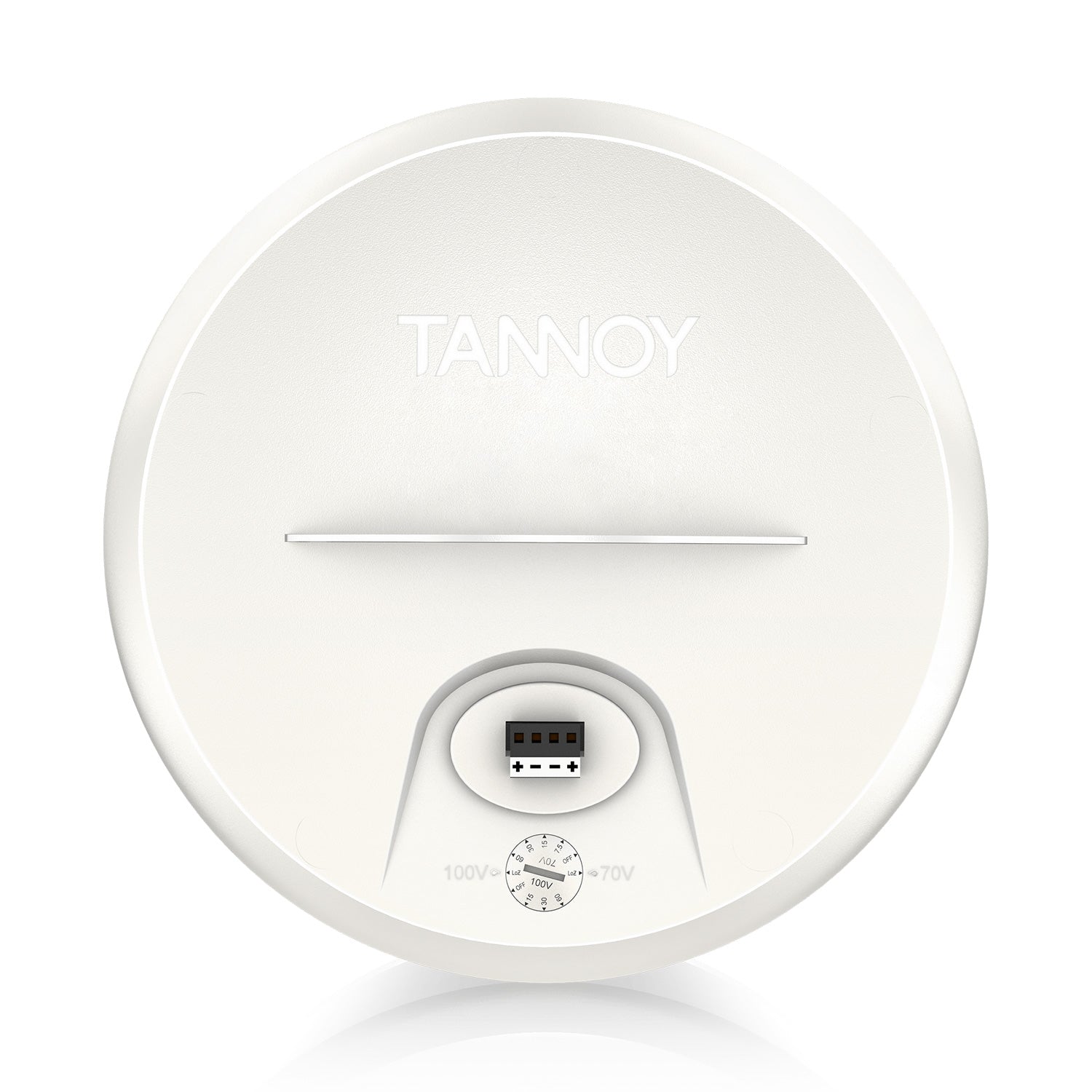 Tannoy OCV 8 - Two-Way 8-Inch Coaxial Pendant Loudspeaker (White)