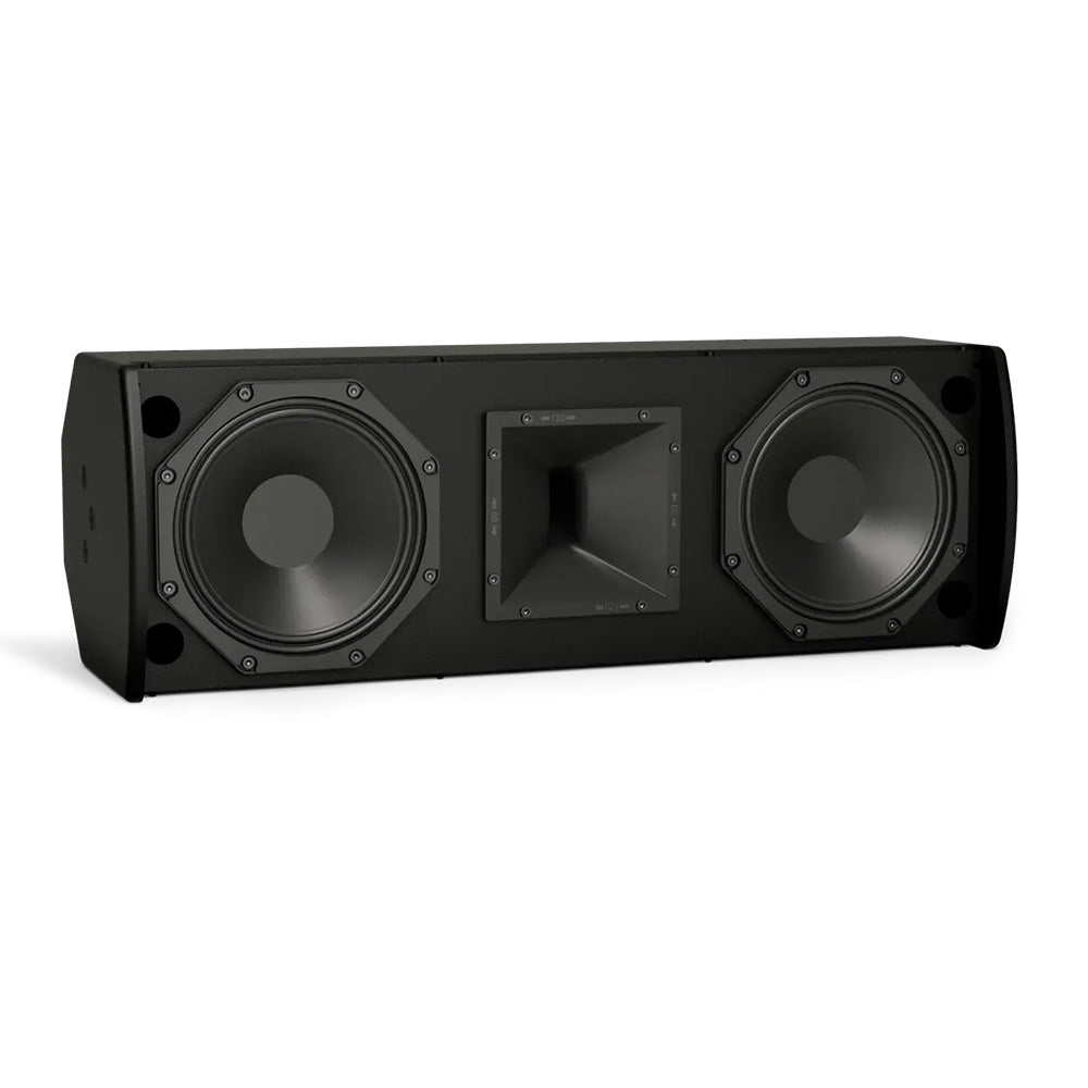 Bose ArenaMatch AMU208-120 - Compact High-Performance Install Loudspeaker (Black)