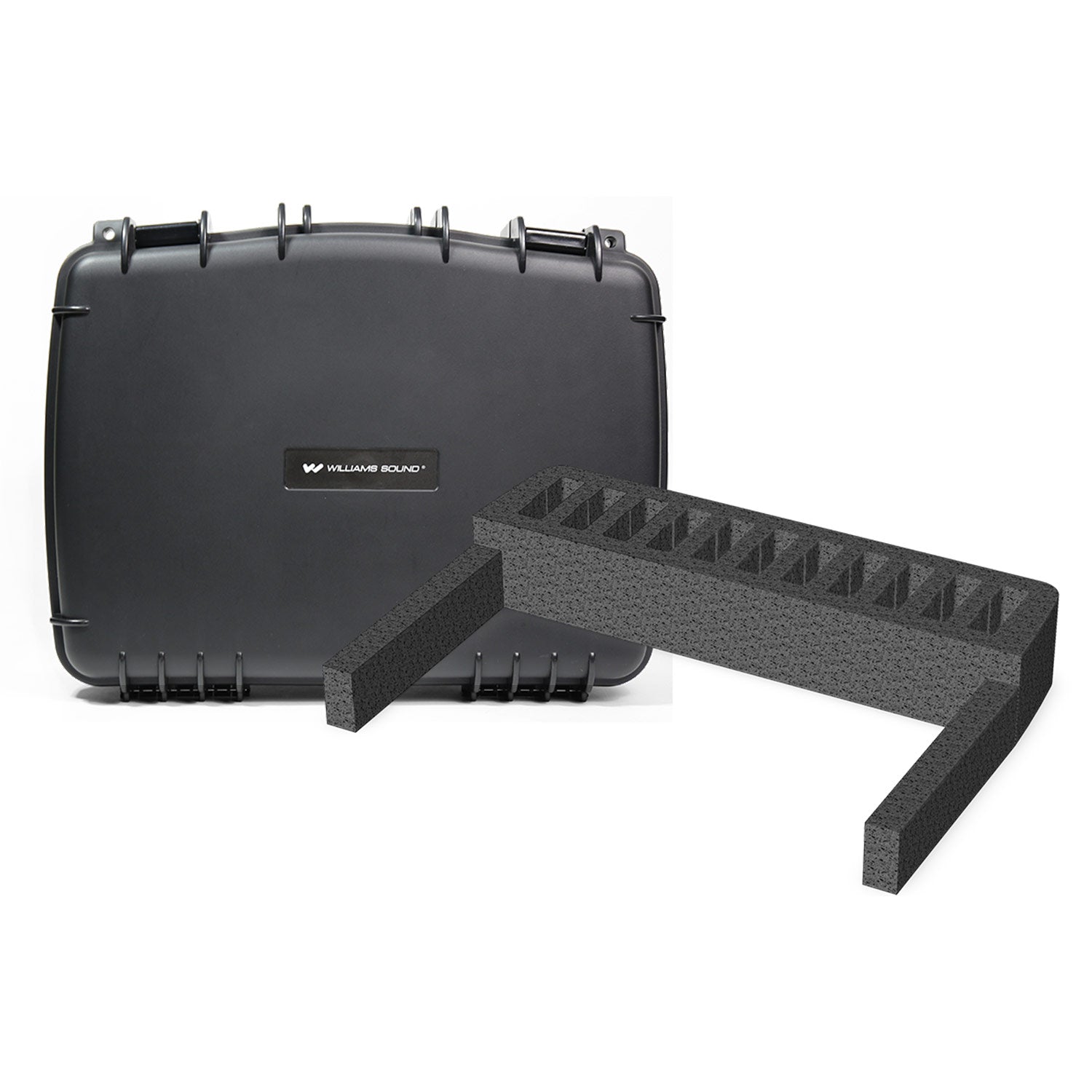 Williams AV CCS 056 DW 11 Lg. Water Resistant Carry Case, Foam Insert