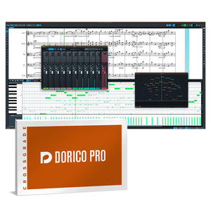 Steinberg Dorico Pro 5 - Music Notation and Composition Software (Competitive Crossgrade)