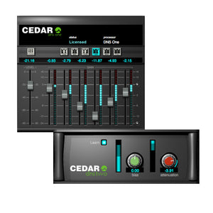 CEDAR Audio CEDAR Studio DNS 9 - Upgrade from DNS One (VST/AU/AAX)