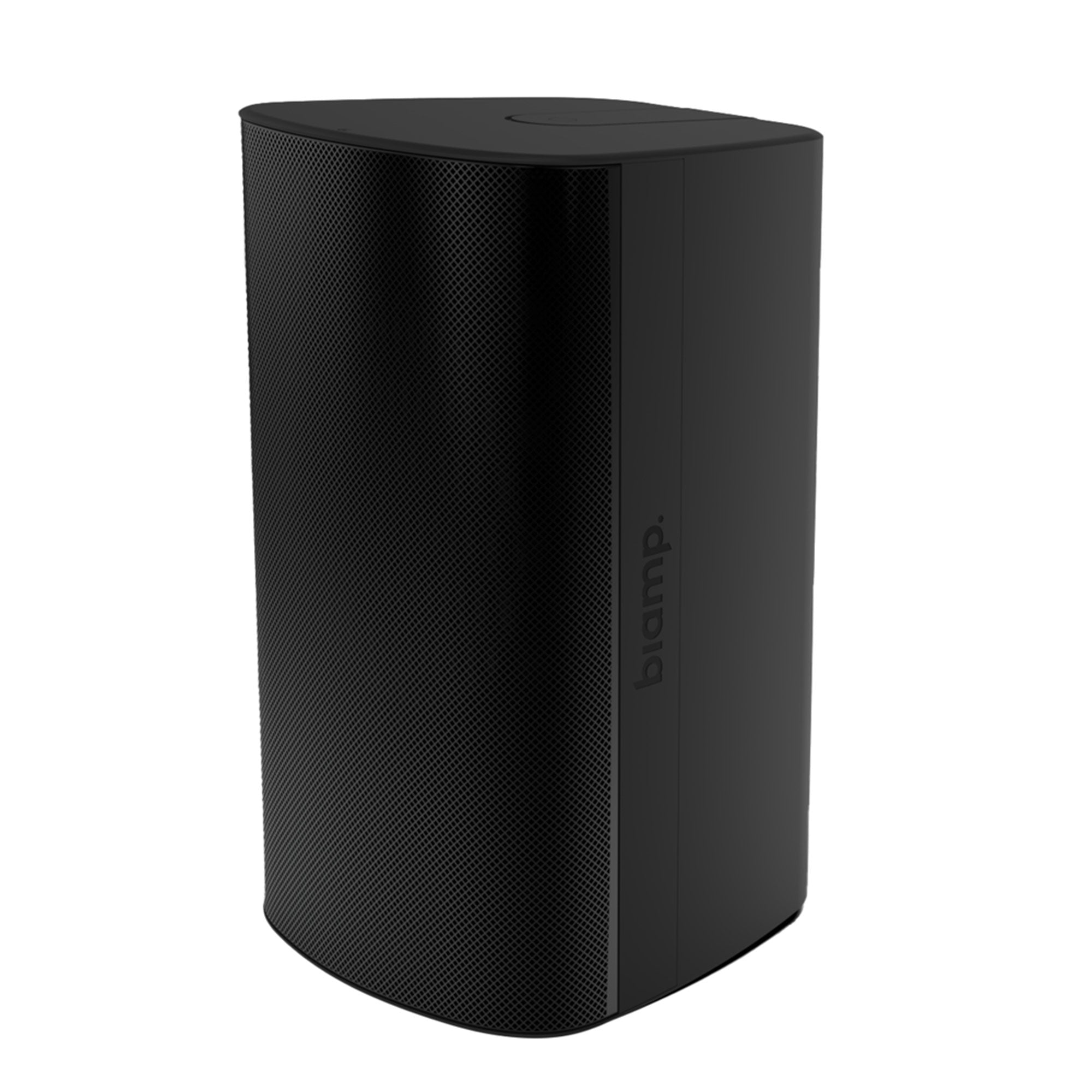 Biamp Desono EX-S10SUB - Surface Mount 10-Inch Subwoofer (Black with Pan-Tilt Bracket)