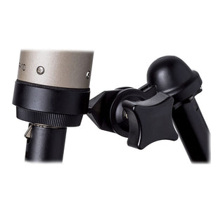Royer R-10 Studio/Live Passive Ribbon Microphone