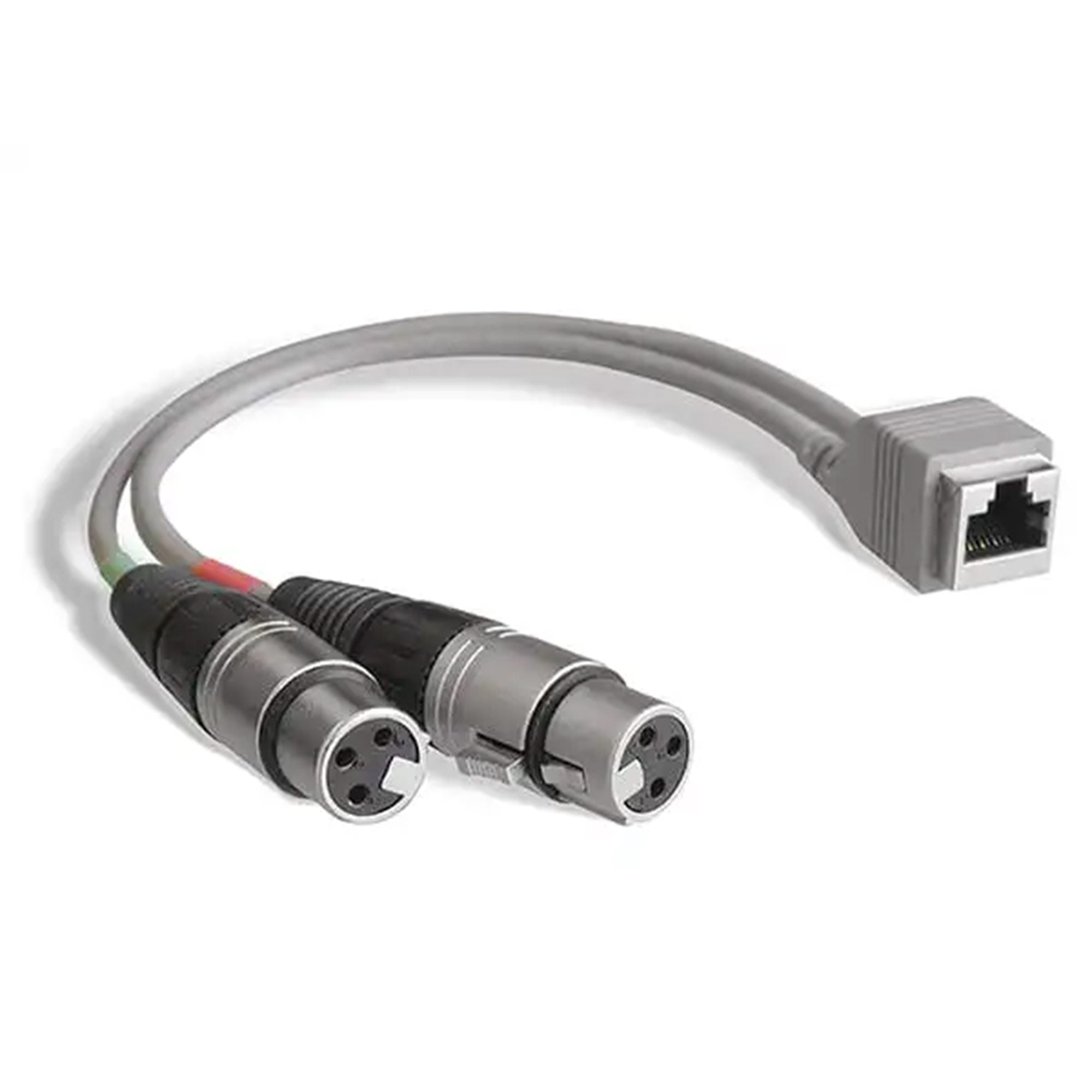 StudioHub ADAPT-XLRFD Dual XLR (Female) to RJ-45 (Female) 8" Adapter