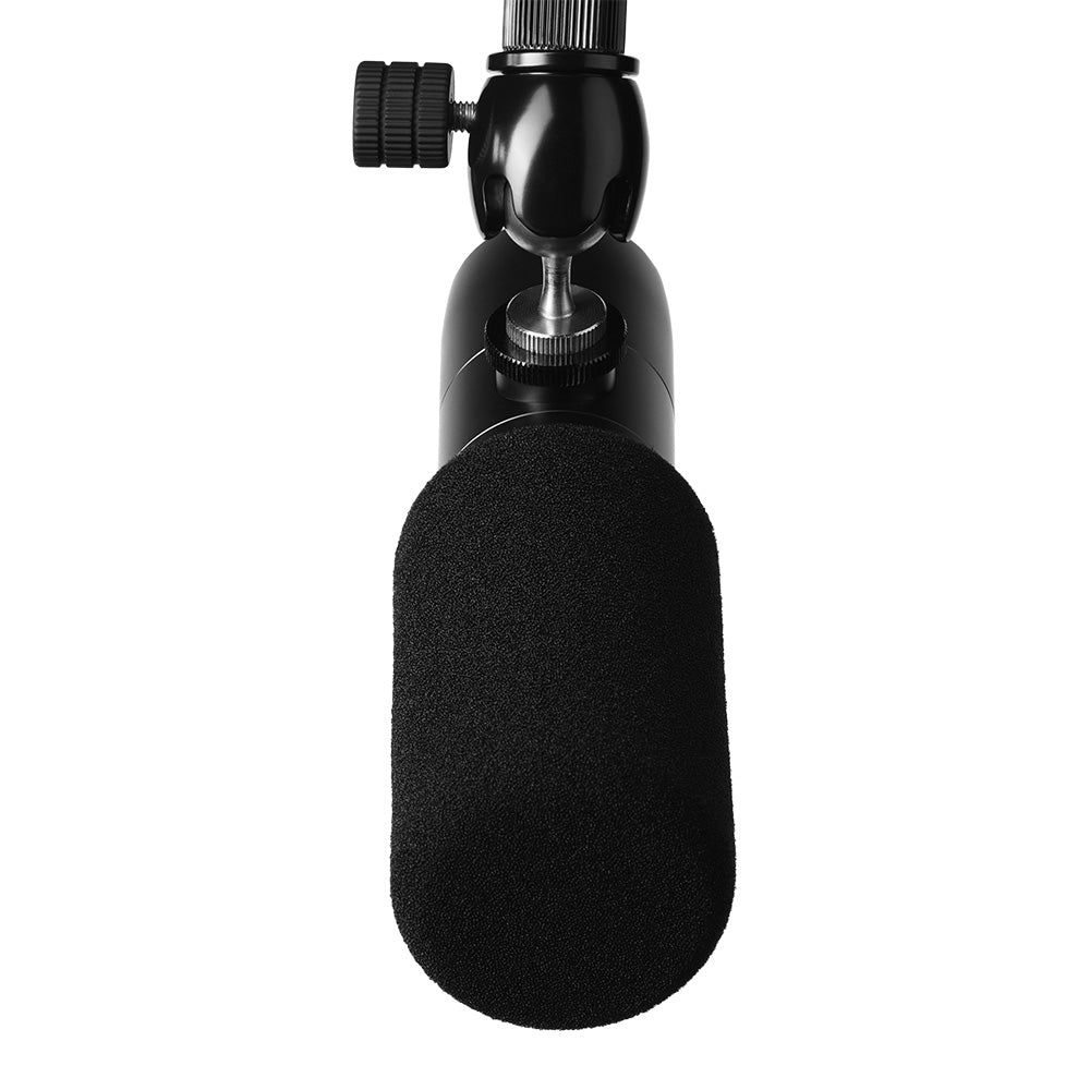 Earthworks ETHOS - Broadcast or Streaming Microphone (Matte Black Finish)