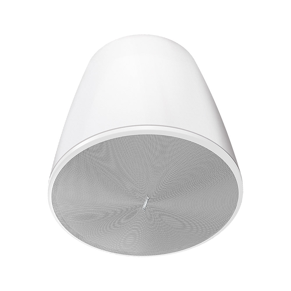 Bose DesignMax DM10P-SUB - 300-Watt 10-Inch Pendant Install Subwoofer (White)