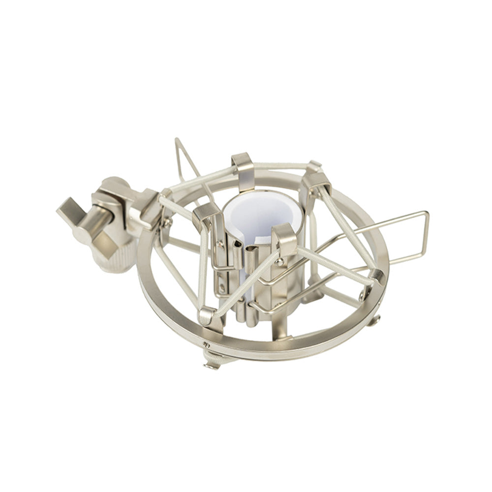 Direct Sound DS-R5 - Dynamic Ribbon Microphone