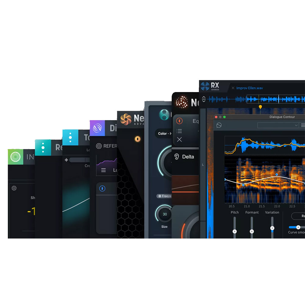 iZotope RX Post Production Suite 8.6 - Software Plugin Bundle (Upgrade from RX Standard)