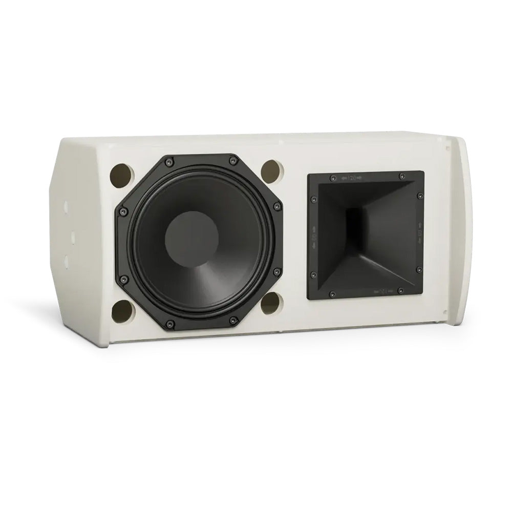 Bose ArenaMatch AMU108-120 - Compact High-Performance Install Loudspeaker (White)