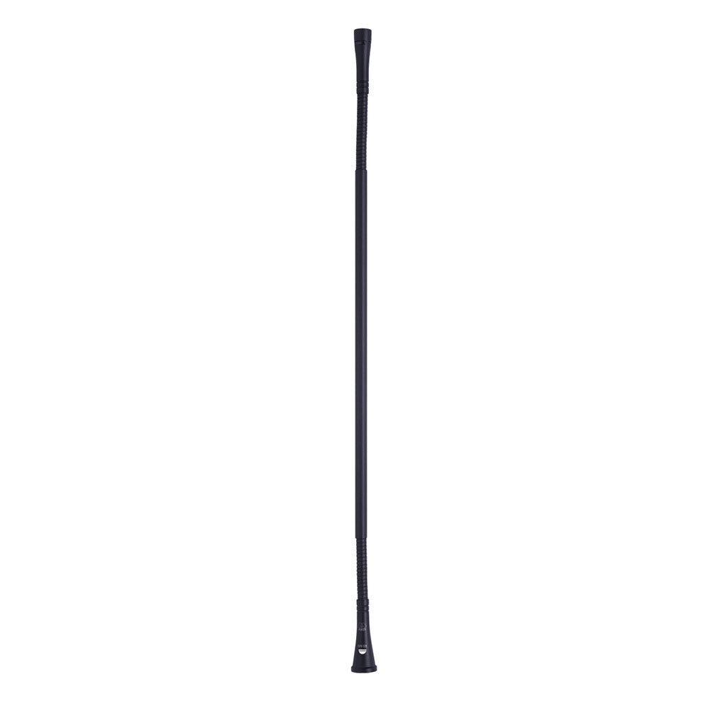 AKG GN30 CS 30cm Gooseneck Microphone Module