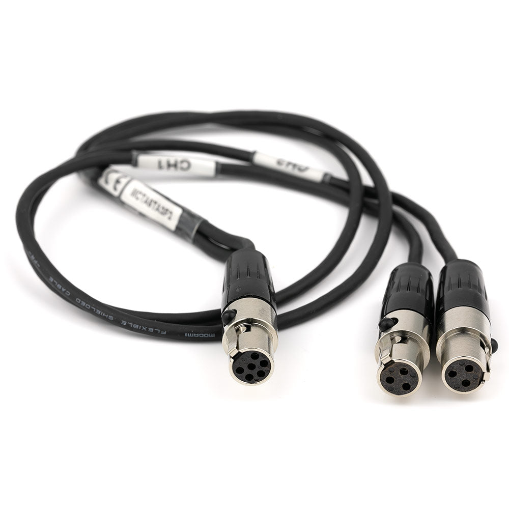 Lectrosonics MCTA6TA3F2 - TA6F to Dual TA3F Line Level Audio Cable