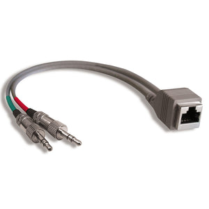 StudioHub ADAPT-MINIMBAL Dual Mini (Male) to RJ-45 (Female) 8" Adapter, Balanced