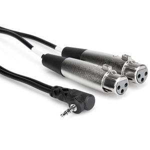 Hosa CYX-402F Dual XLR3F to Right-angle 3.5 mm TRS Camcorder Microphone Cable, 2 feet