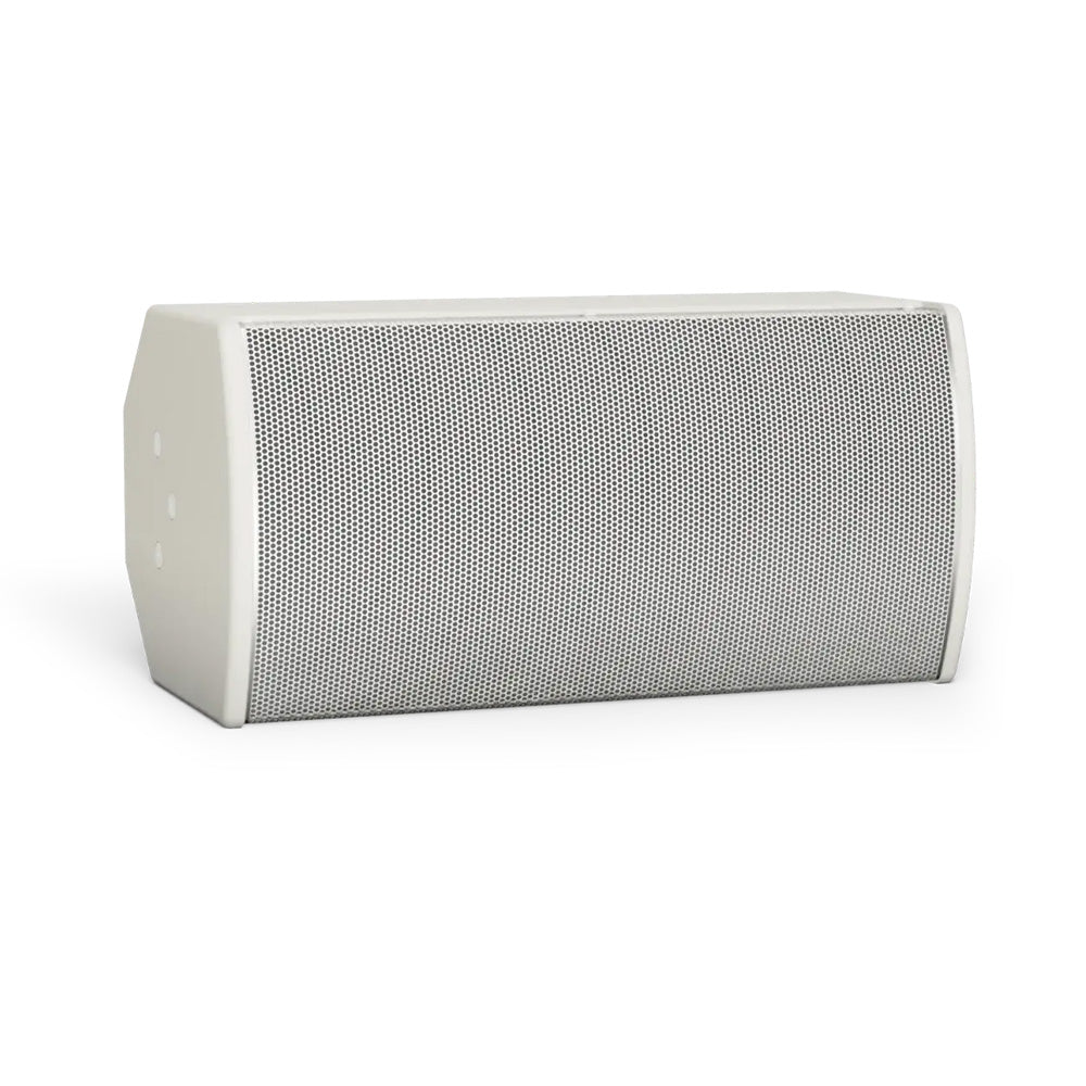 Bose ArenaMatch AMU108-120 - Compact High-Performance Install Loudspeaker (White)