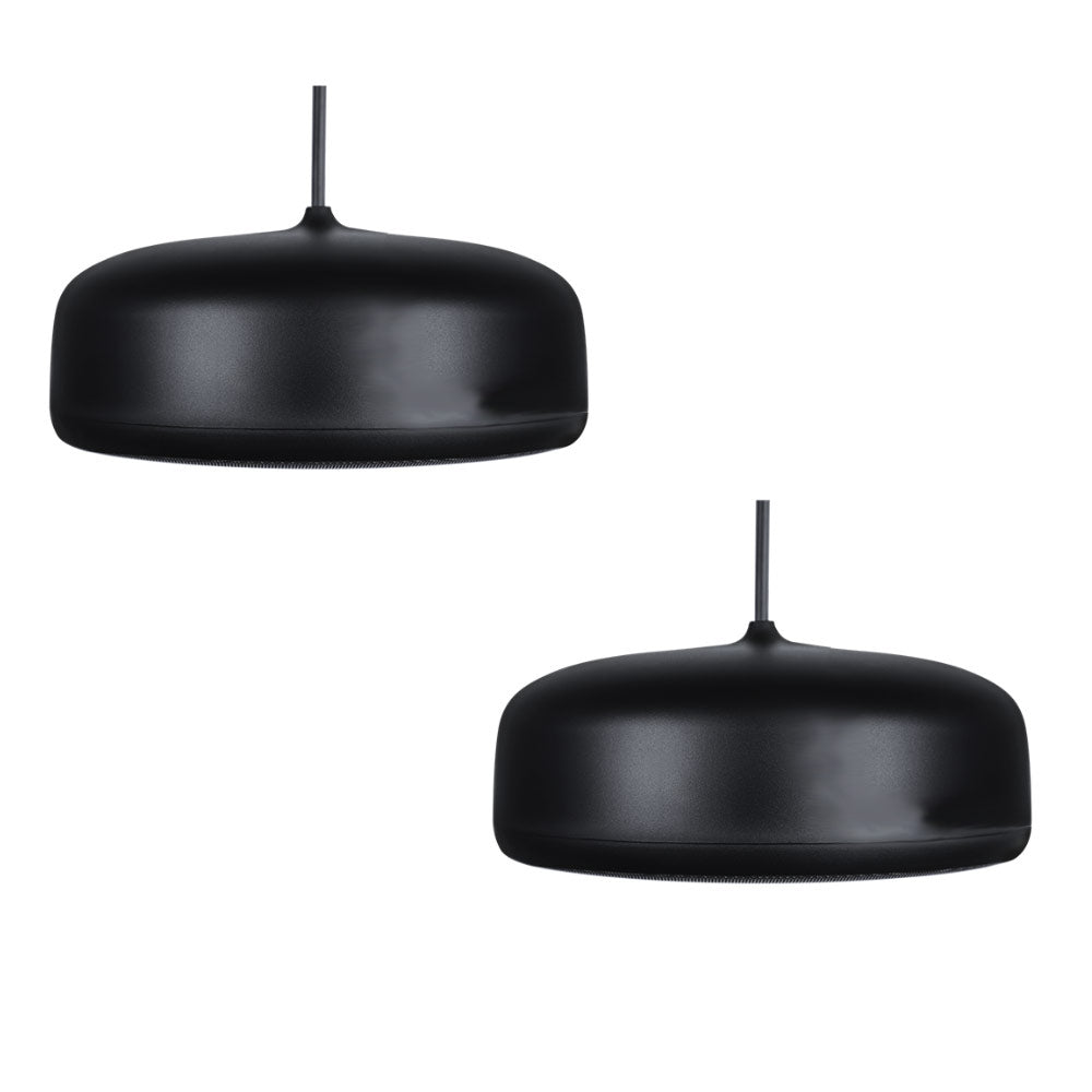 Biamp Desono P6SM - Two-Way 6.5-Inch Pendant Loudspeaker (Black)