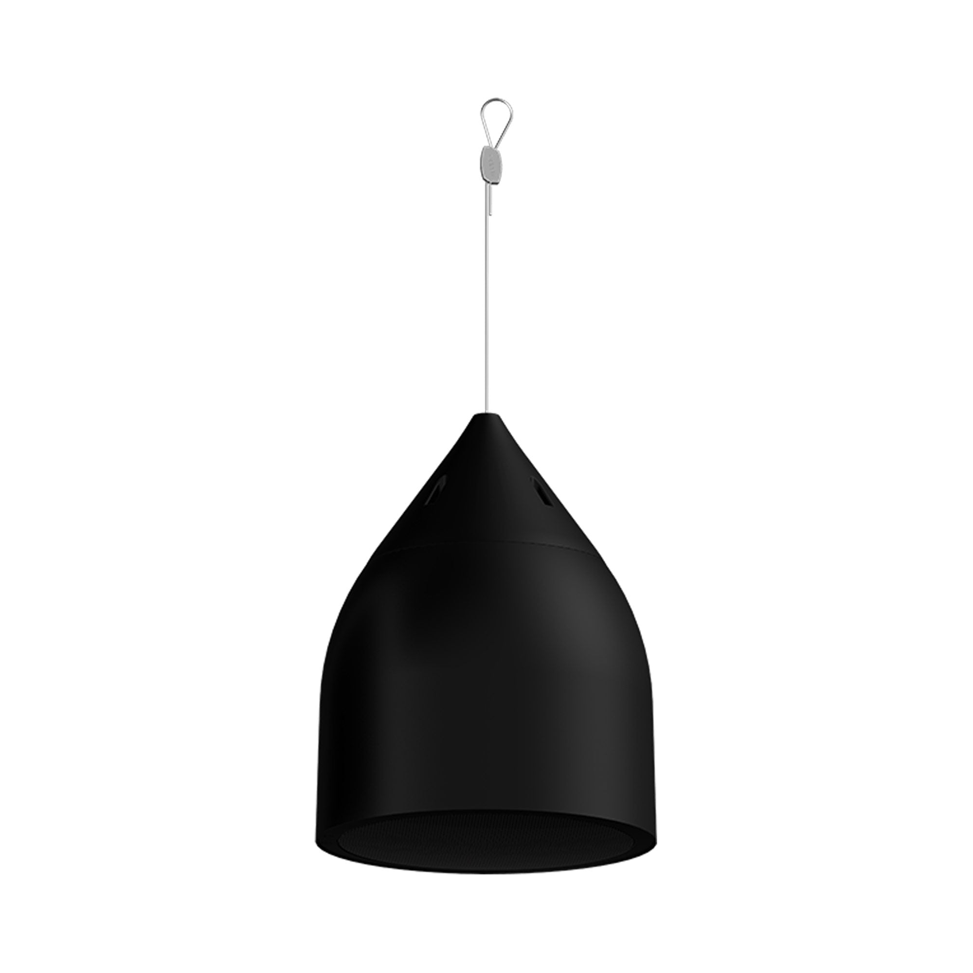 Biamp Desono DP6 - Two-Way 6.5-Inch Pendant Loudspeaker (Black)