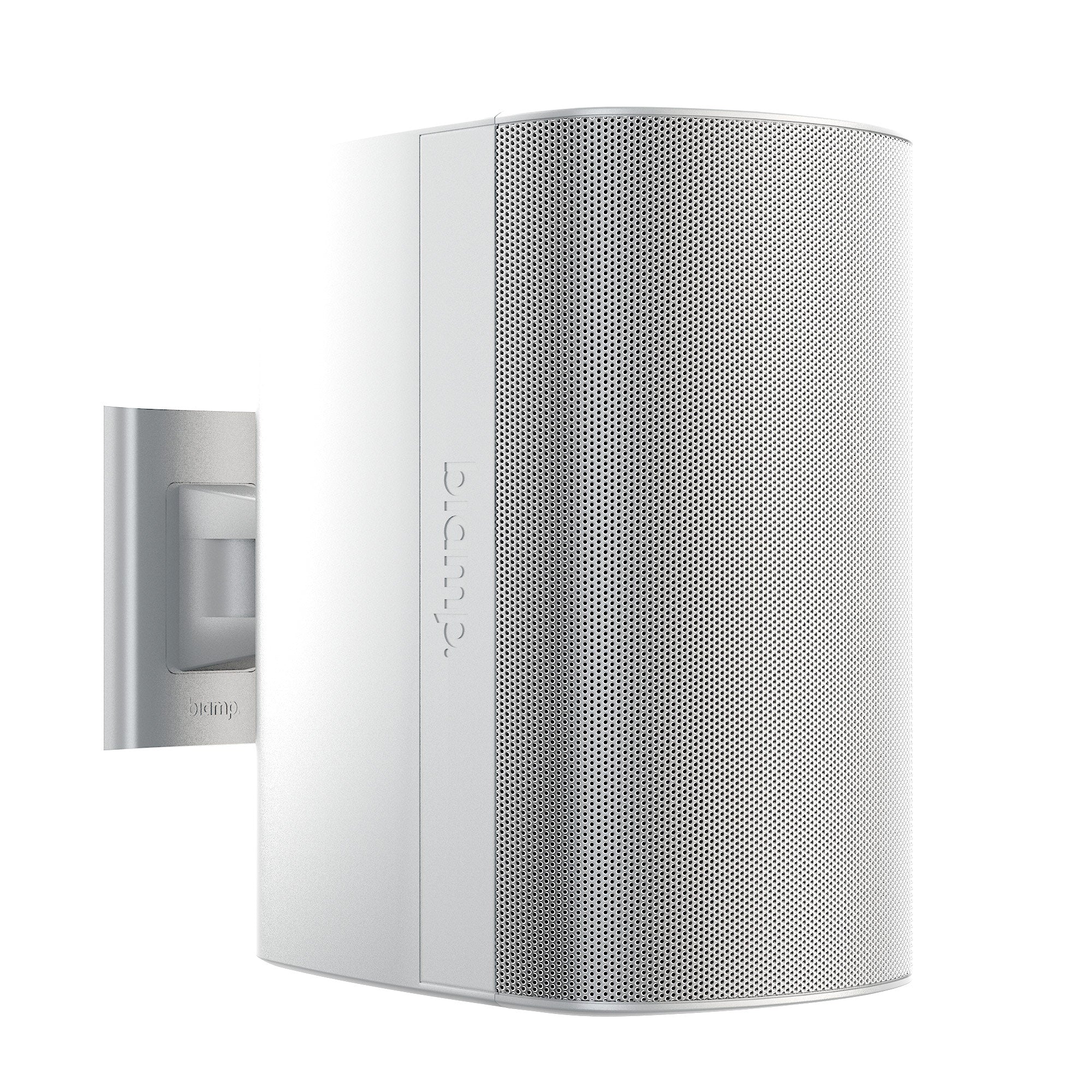 Biamp Desono DX-S8 - Two-Way 8-Inch Surface Mount Loudspeaker (White)