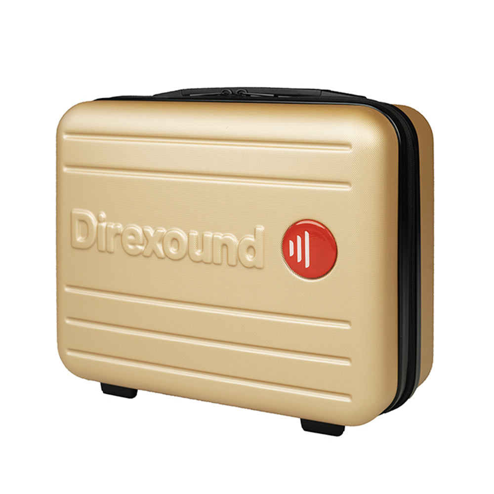 Direct Sound DS-R5 - Dynamic Ribbon Microphone